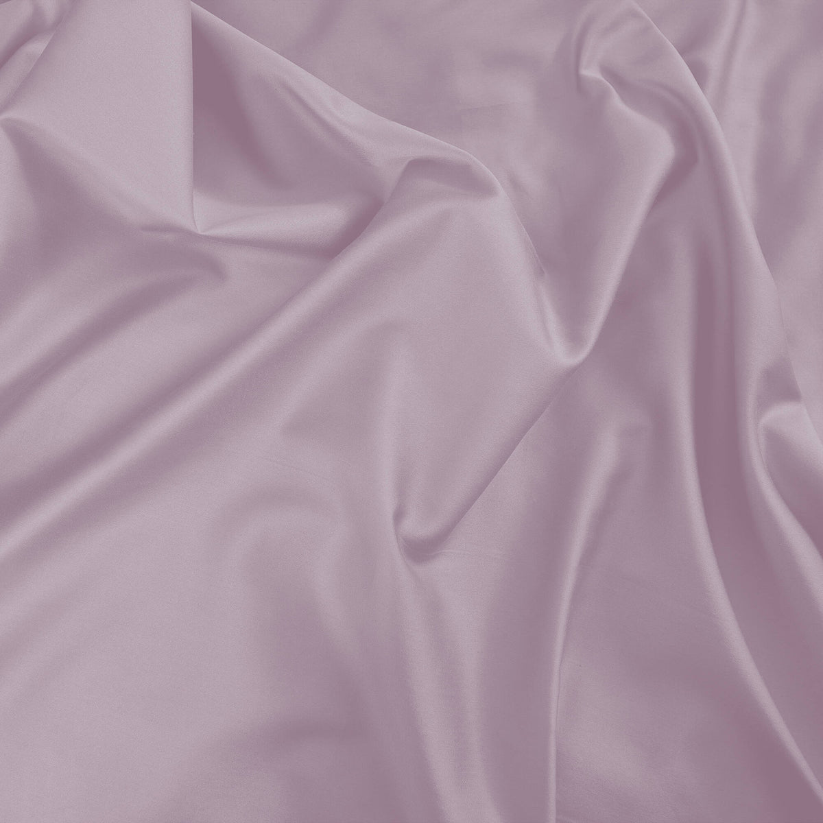 Lenzuolo con angoli Marais Incanto in Cotone Raso 600 TC 300 - Finissaggio silk - 180x200x30h